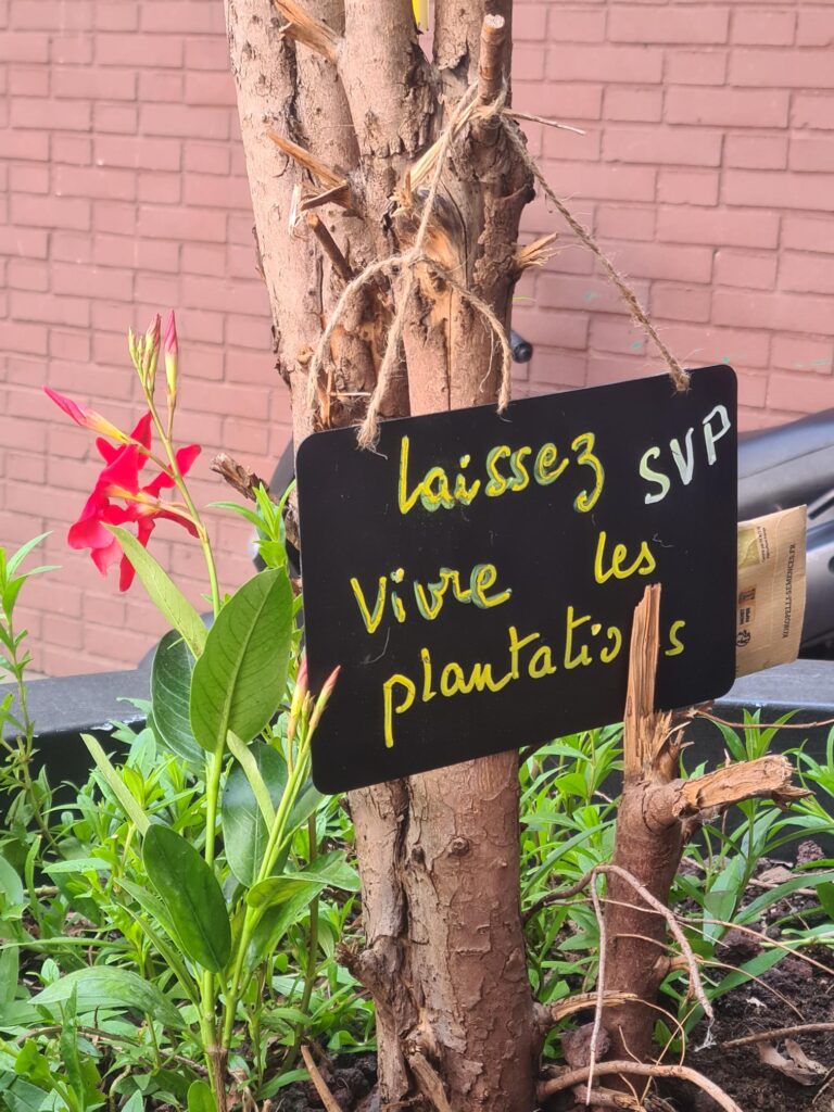 Jardinage Cour 7 rue très-Cloitres 2025